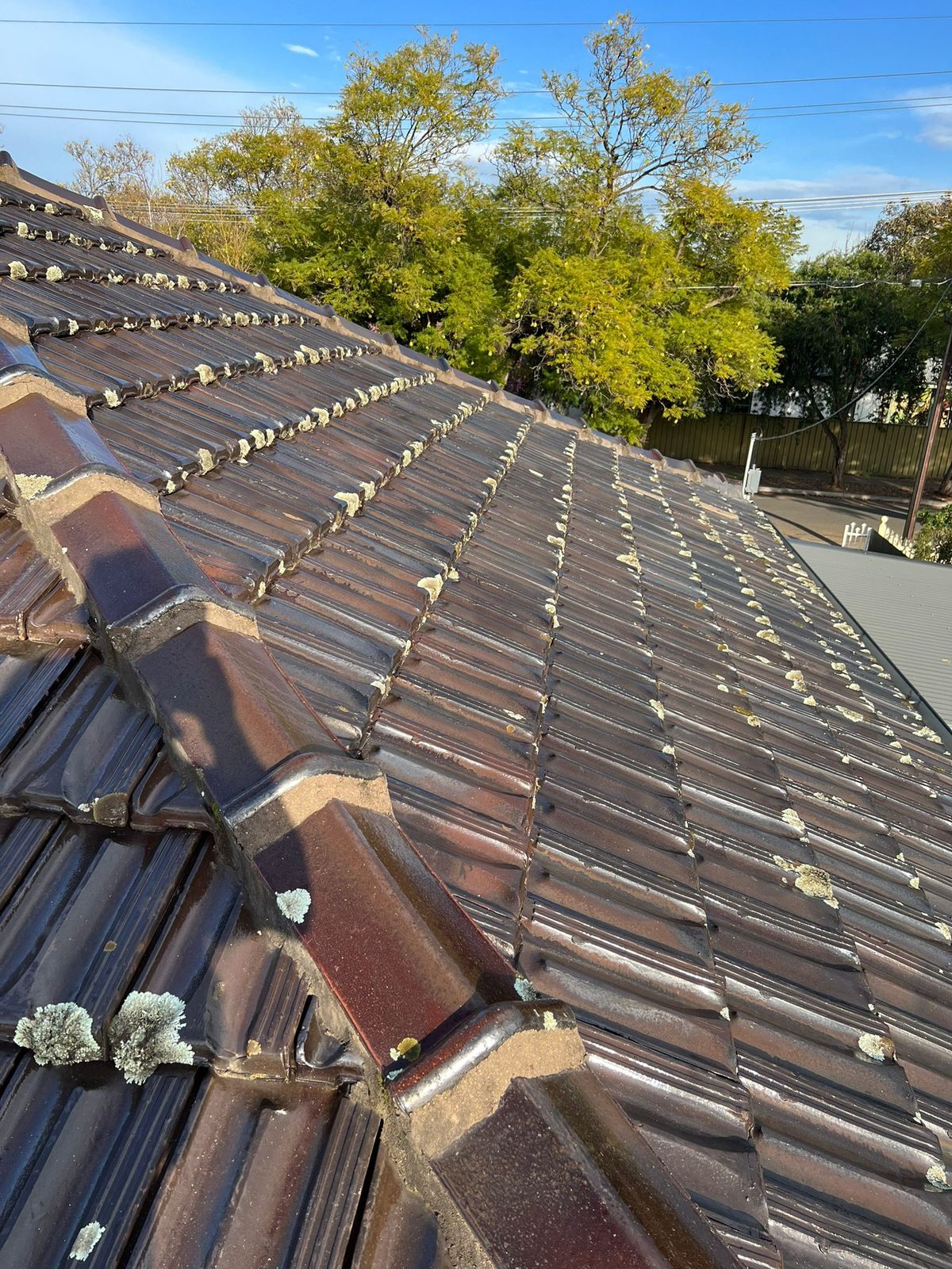Roof before painting